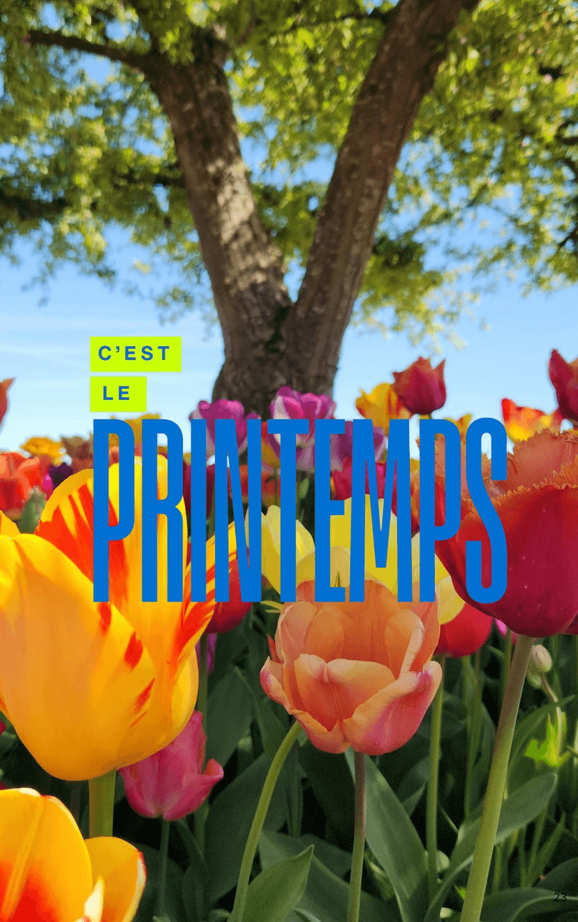 Ouverture de la partie printemps